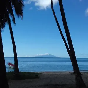  Homestay Palm View